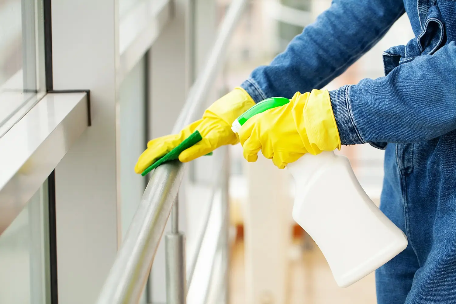 Professional sofa cleaning