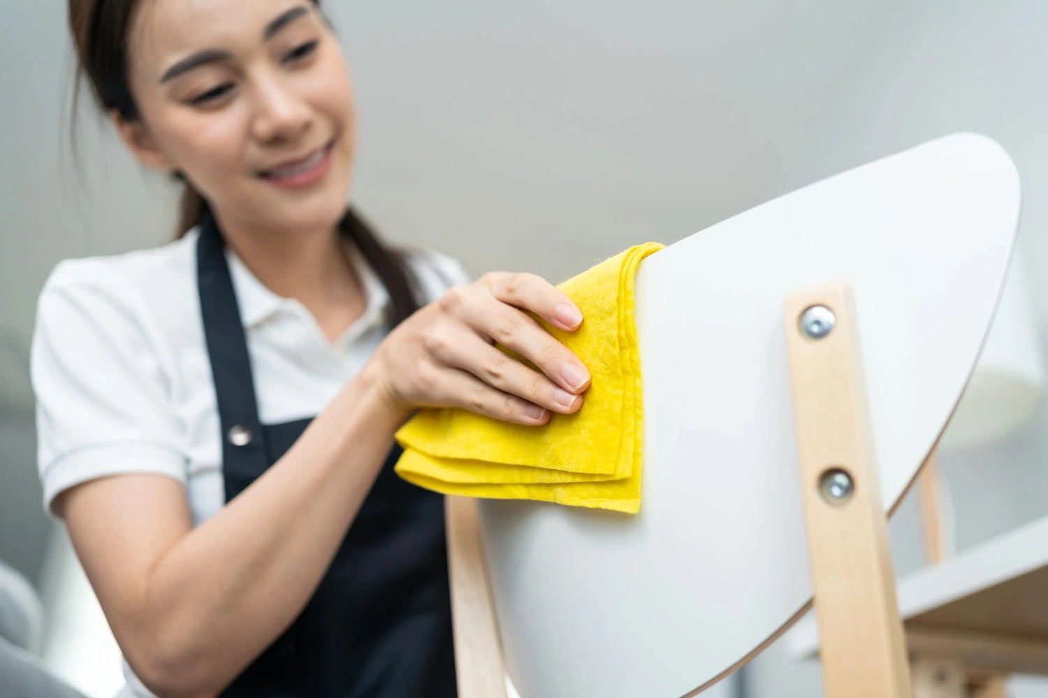 Professional sofa cleaning