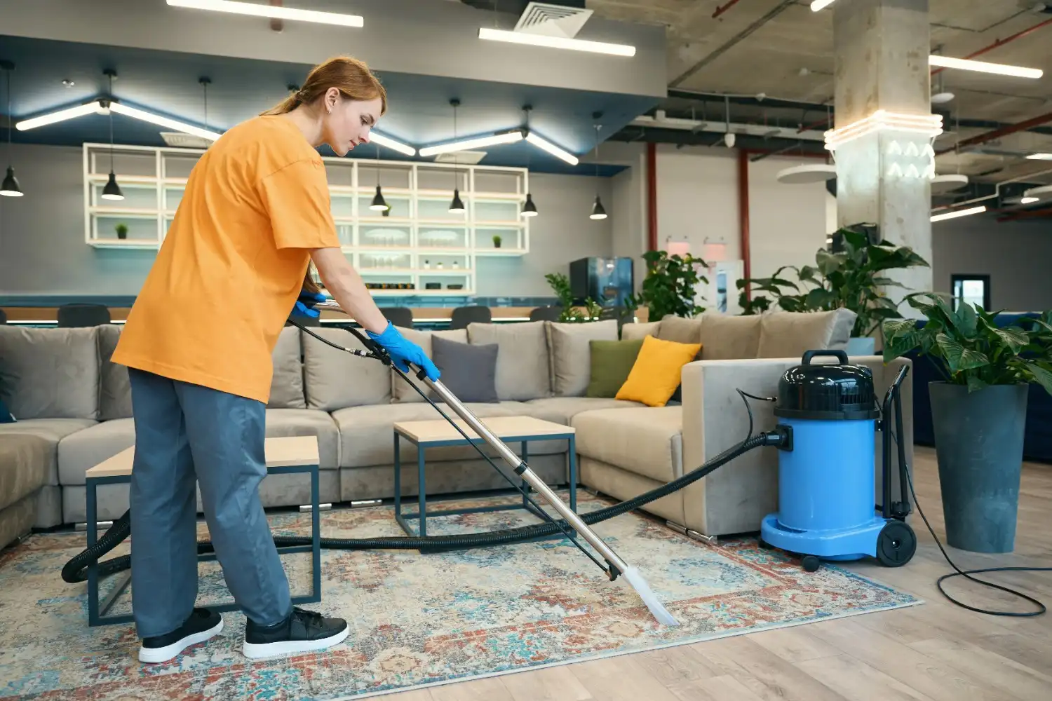 Mattress cleaning service