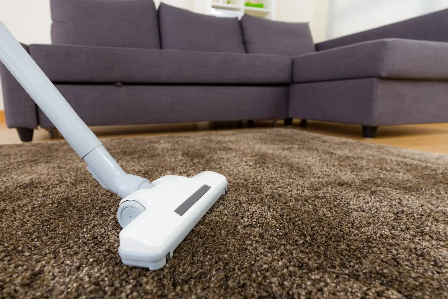 Curtain cleaning service