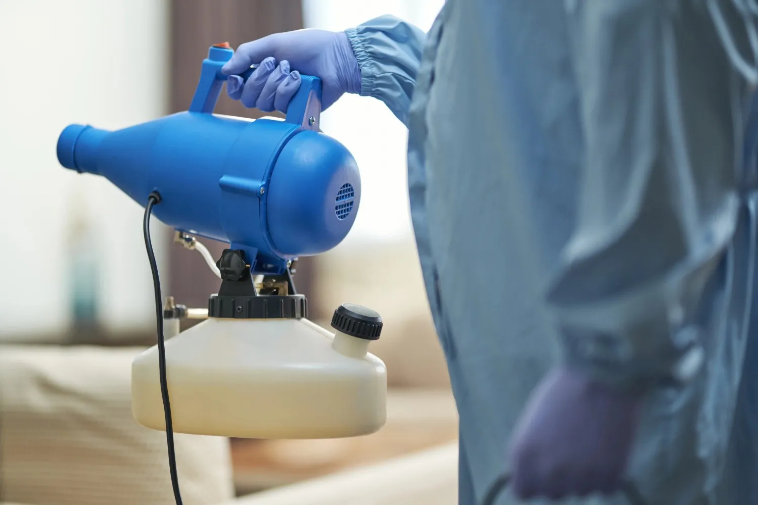 Professional sofa cleaning