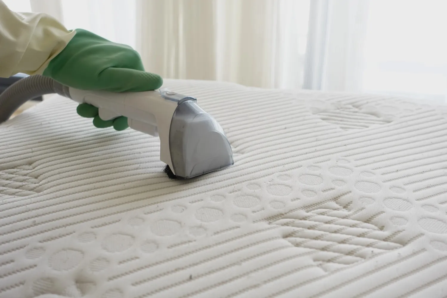 Carpet cleaning professionals