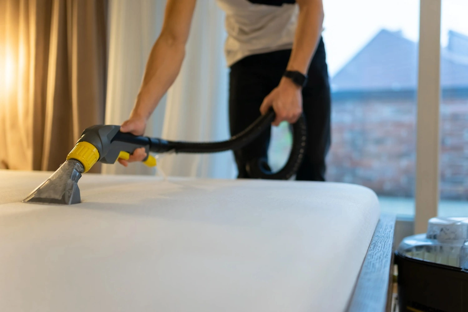 Professional sofa cleaning