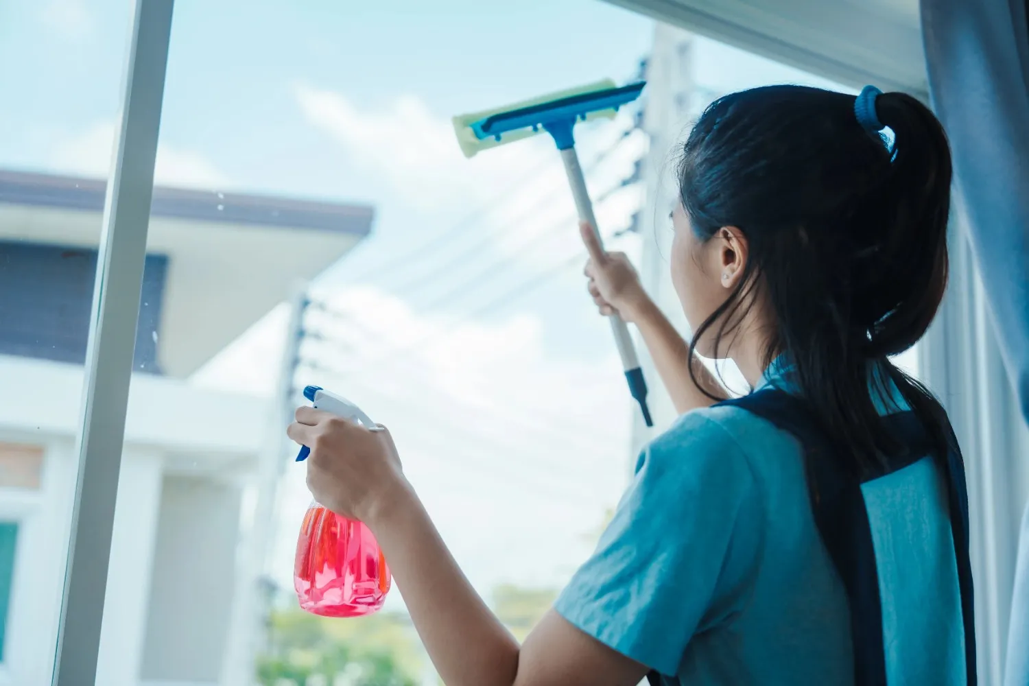 Mattress cleaning service